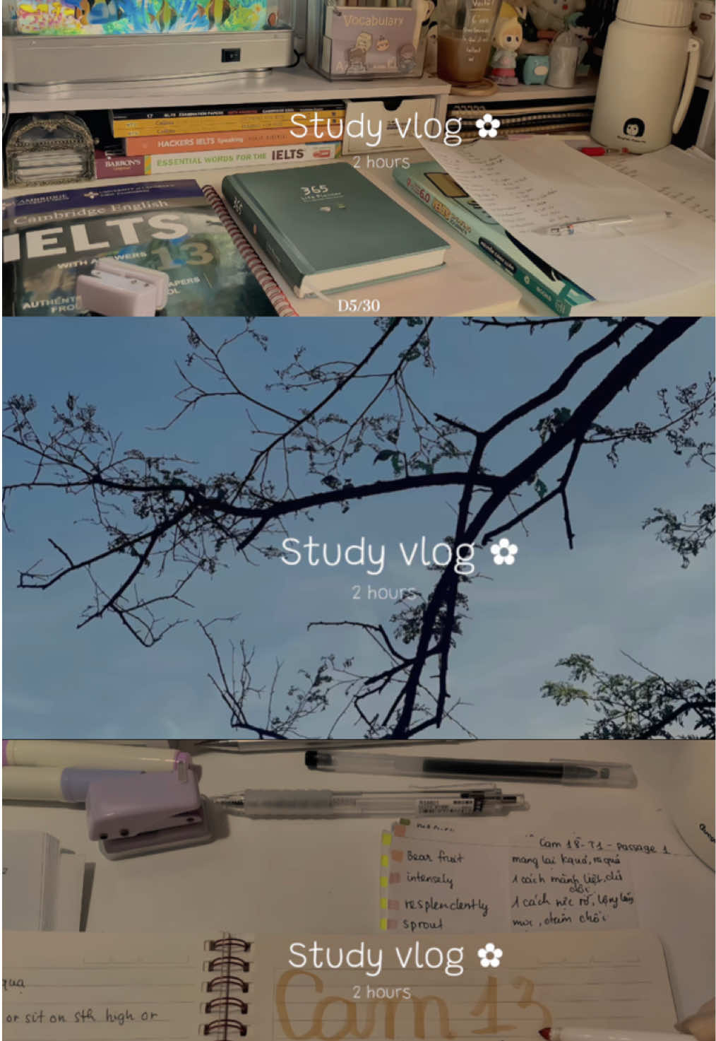 [D5/30]: Chỉ cần bản thân muốn cố gắng, thì không bao giờ là muộn màng📚🌙.                              #study #studyvlog #studytok #motivation #fypシ゚ 