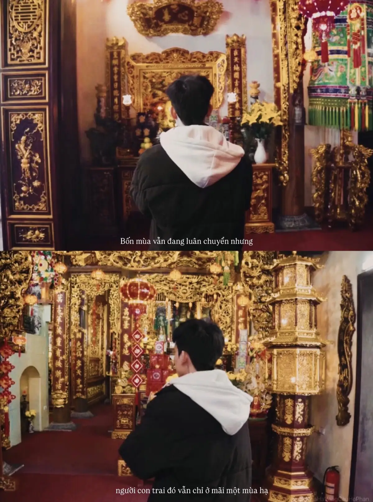 Phải chăng cái nắng hạ đã níu anh ở lại, để mua thu bỏ quên anh rồi ? 🤎 #phantrongduong33 #trongduong #typ 