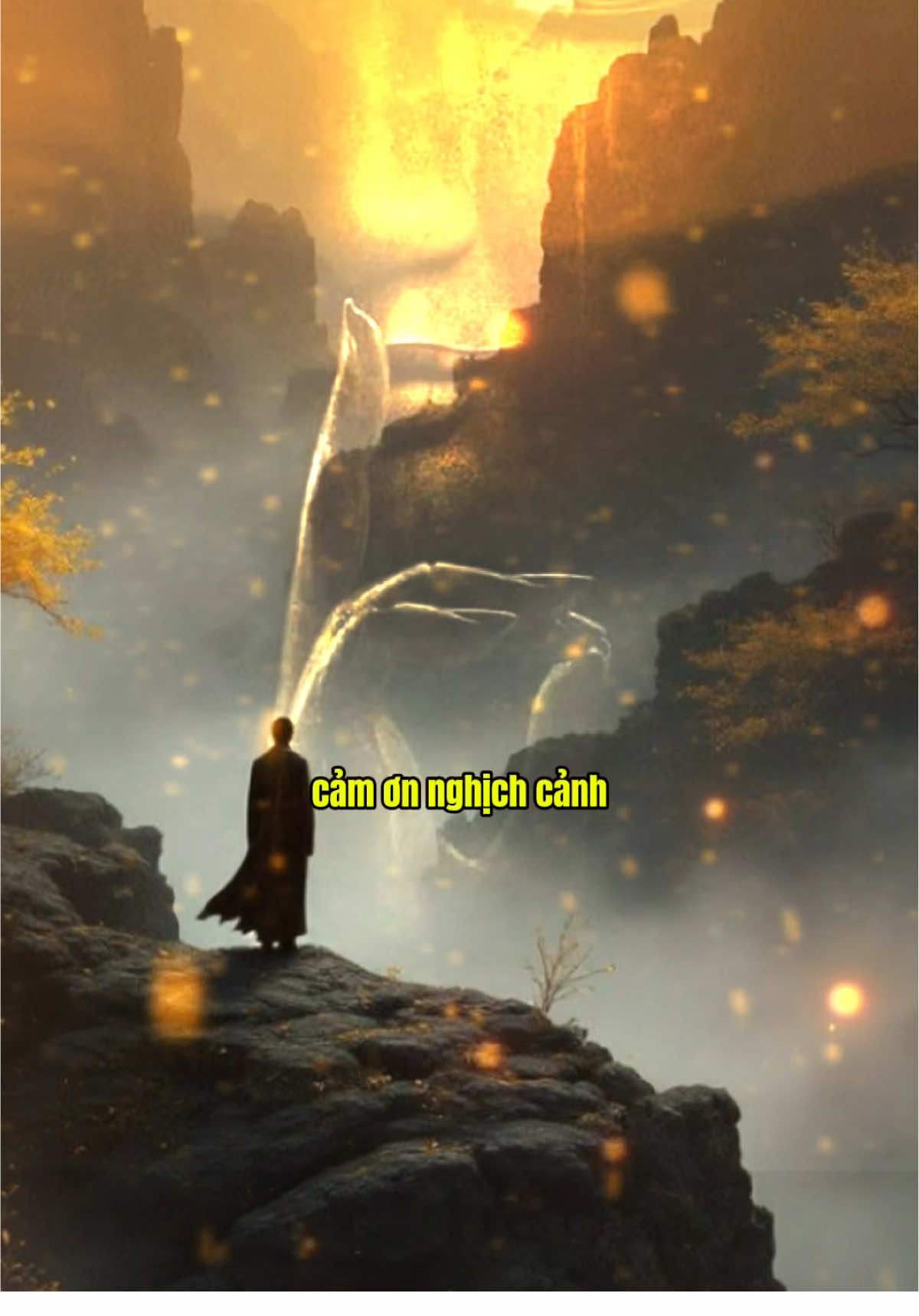 cảm ơn nghịch cảnh, cảm ơn những biến cố , dạy cho ta những bài học thật lớn #phatphap #annhien #phatphapnhiemmau #loiphatday #chualanhtamhon #thayminhniem 