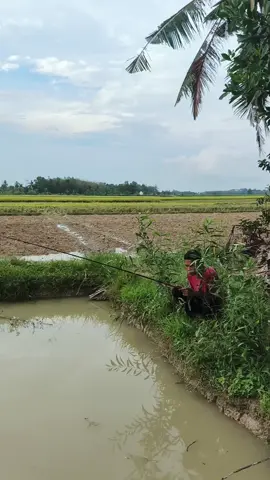 caer meneeh kaan #hiburan #komedi #fypfb