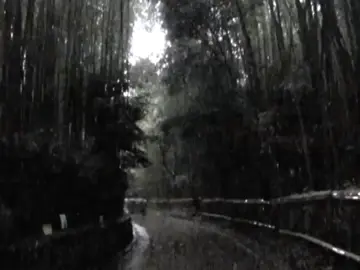 I hate you - h4rtbrkr #thisdreamperiodically #music #wifiskeleton #h4rtbrkr #friedbyfluoride 