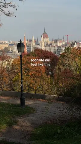 can’t wait for this 🥮 #autumnvibes🍁 #autumnaesthetic 
