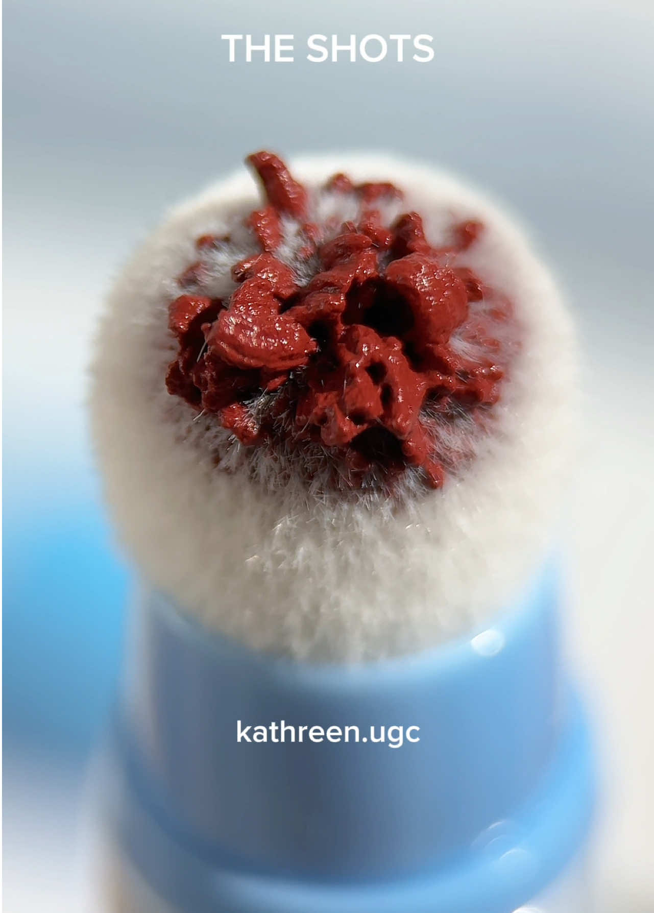 THE MACRO LENS VS. THE SHOTS #ugc #macrolens #ugcvideos #ulanzi 