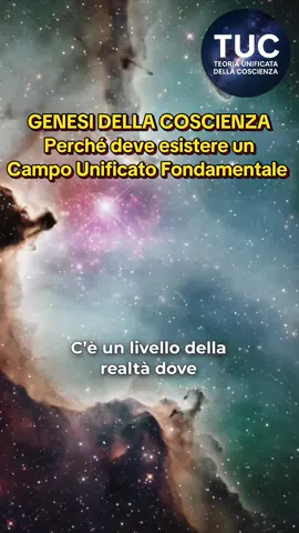 GENESI DELLA COSCIENZA – Il documentario ufficiale sulla Teoria Unificata della Coscienza (TUC) Che cos’è la coscienza? Perché esistiamo? Qual è l’origine del tempo, dello spazio, della materia… e della mente? Per secoli, la scienza ha esplorato l’universo partendo dalla materia. Ma la coscienza, il fenomeno più intimo e misterioso dell’esperienza umana, è rimasta ai margini. Questo documentario racconta un nuovo punto di partenza. 🎥 “Genesi della Coscienza” è il primo documentario interamente dedicato alla Teoria Unificata della Coscienza (TUC), una proposta scientifica innovativa che pone la coscienza al centro del reale. Basata su un’unica formula madre, la TUC spiega l’origine dell’esperienza cosciente, ma anche la natura del tempo, dello spaziotempo, dell’entanglement quantistico, dei buchi neri, dell’inconscio e dei processi mentali profondi. 📘 Il video segue passo passo i contenuti del libro Genesi della Coscienza, rendendoli accessibili anche a chi non ha conoscenze scientifiche avanzate. Una narrazione chiara e coinvolgente, che unisce fisica, neuroscienze e psicologia in un’unica visione. 📚 Struttura del documentario: Parte I – Fisica della Coscienza: l’origine della presenza, della percezione e dell’identità. Parte II – Fisica dei Fenomeni: nuove chiavi di lettura per comprendere l’universo e le sue leggi. Parte III – Fisica della Mente: l’inconscio, il trauma, la mente e la medicina della coerenza. 🔬 Non si tratta di una speculazione filosofica, ma di una teoria verificabile e coerente, costruita con rigore logico e apertura sperimentale. 🌌 Se davvero vogliamo capire chi siamo, dobbiamo ripartire da qui. 📩 Per approfondire: 👉 Acquista il libro “Genesi della Coscienza” 👉 Scopri il progetto TUC sul sito ufficiale. #coscienza #astronomia #astrofisica #fisicaquantistica #universo 