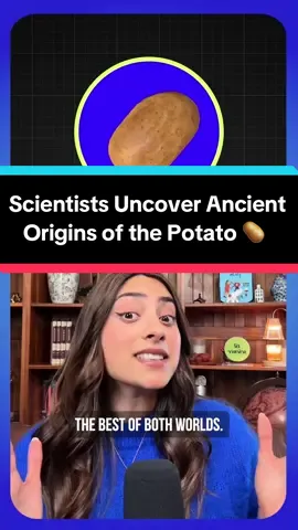 So does this mean it’s a fruit not a vegetable?? 🤔  Scientists discovered the bizarre ancient origins of the humble potato and it wasn’t what you might expect. Turns out, potatoes are actually the love child of tuberosum, a flowering plant, and…an ancient tomato! This nearly 50/50 genetic hybrid pulled off the ultimate evolutionary plant partnership millions of years ago. While their parents dealt with weather drama above ground, potatoes went underground to become indestructible Read more here: “Ancient hybridization underlies tuberization and radiation of the potato lineage” published in Cell #Science #biology #plants #evolution #potato 