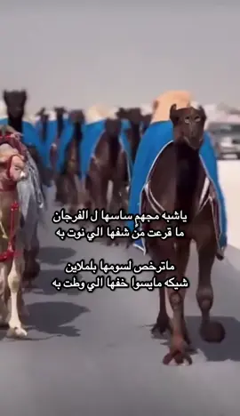 #الفرجان#الدواسر #viralvideo #u #viral 