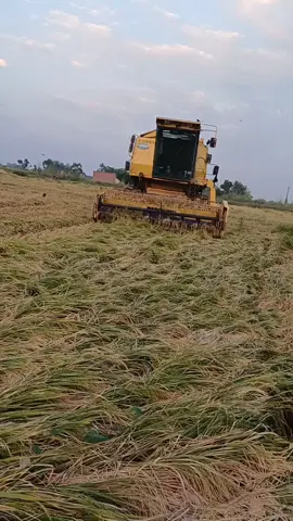 #fypシ゚ #8070 #👌👌 #