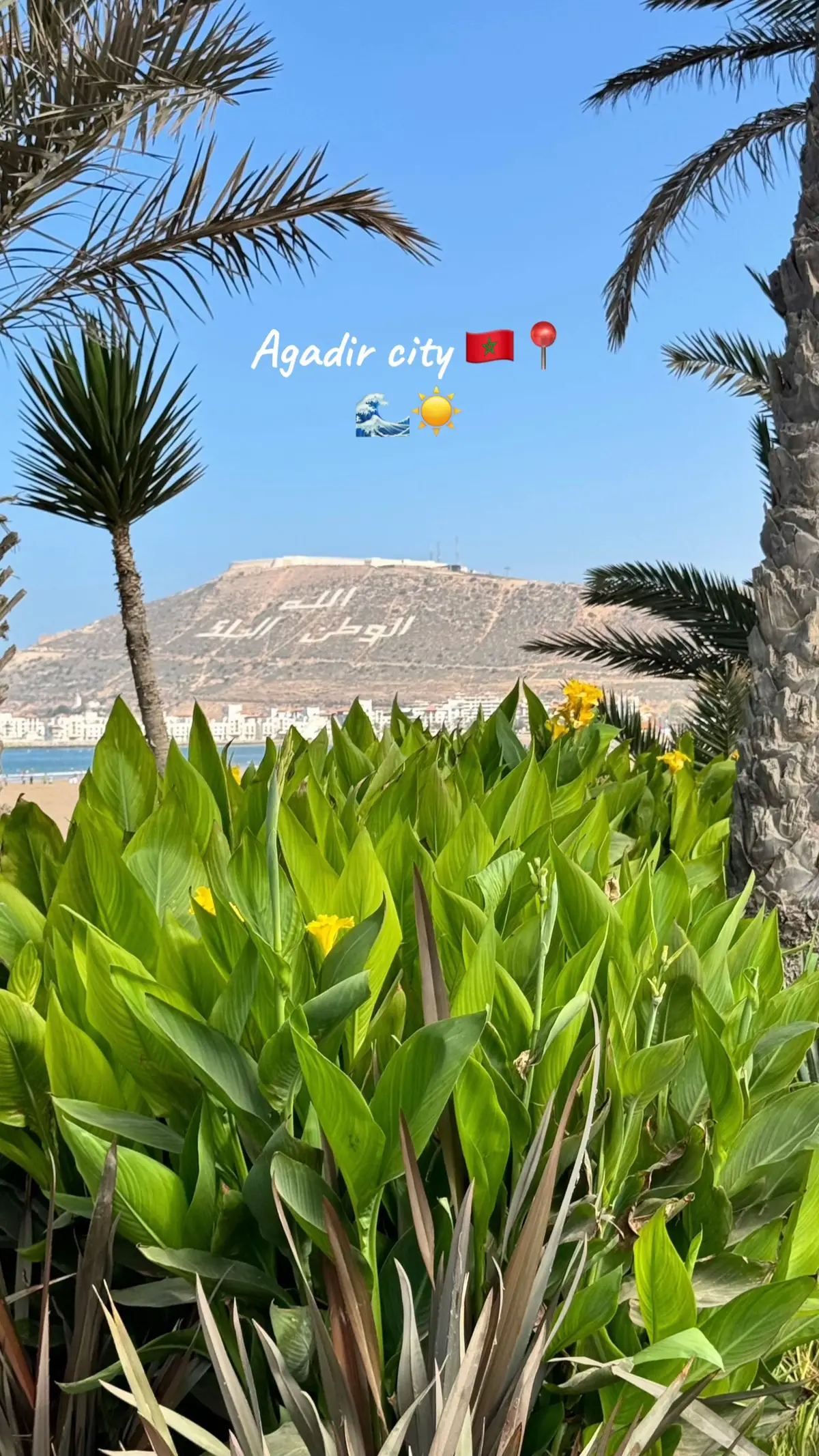 #like #fyp #agadir_morocco #morocco🇲🇦 #agadirتيك_توك 