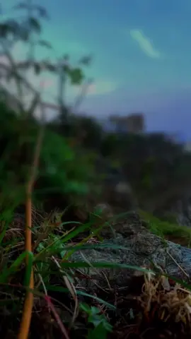 #القران_الكريم_راحه_نفسية #القران_الكريم_راحه_نفسية😍🕋 