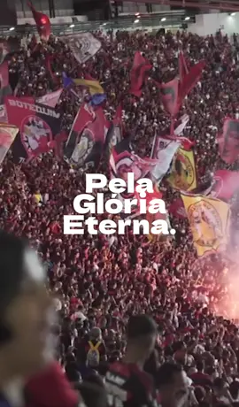Pelo nosso sonho 🏆 #vids #flamengo #libertadores 