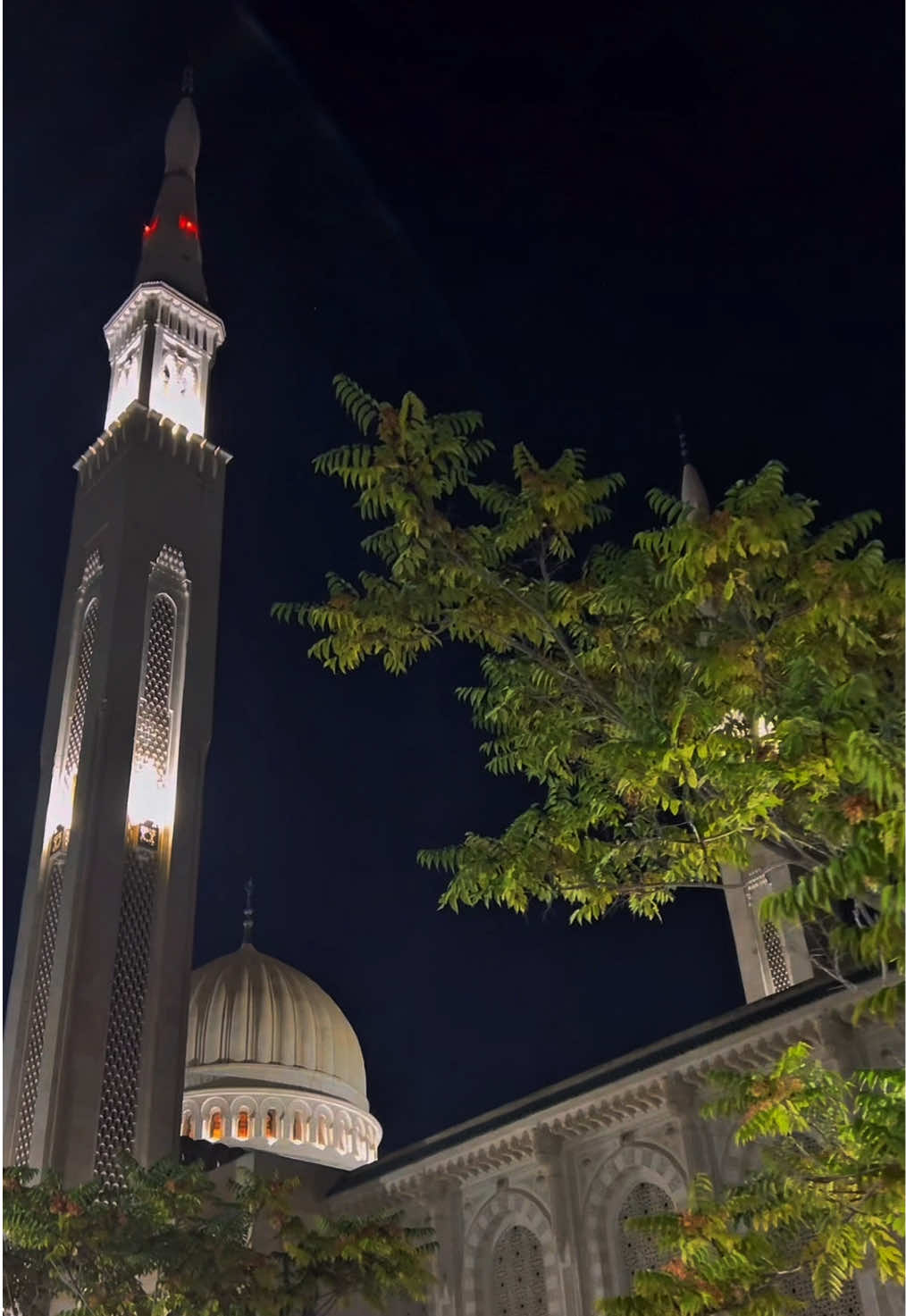 متى الراحة ! اللّهم إنا نسألك الجنة و ما قرب اليها من قولٍ و عمل ، و نعوذ بك من النار وما قرّب إليها من قول أو عمل   #جامعة_الامير_عبد_القادر_للعلوم_الاسلامية #constantine  #videography 