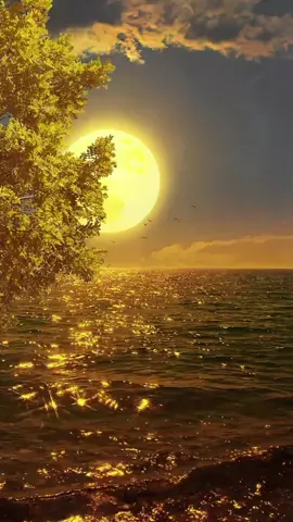 #beauty #pourtoii #magnifique #bonheur #mon 