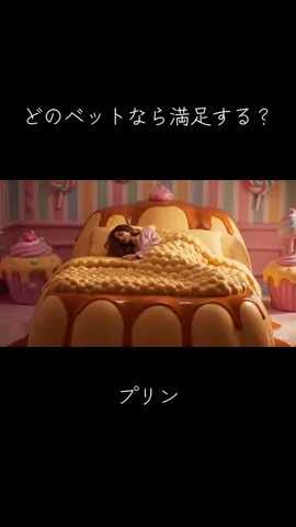 どのベットなら満足する！ #asmr  #ベッド#トランポリン  #プリン #溶岩 