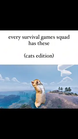 Which one are you? #gaming #videogames #gamer #survivalgame #survivalgames 