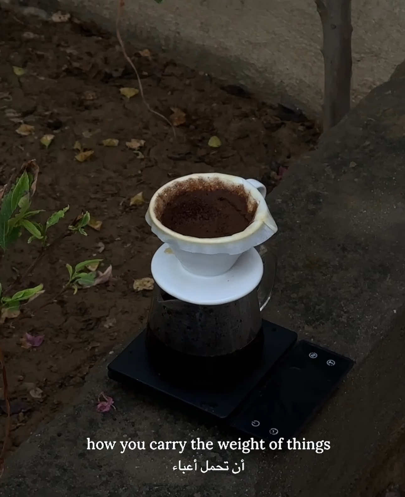 مساء الخير🤍✨..#تصويري #اكسبلورexplore #مطر  الصوت : @Byeol.Talk.1 