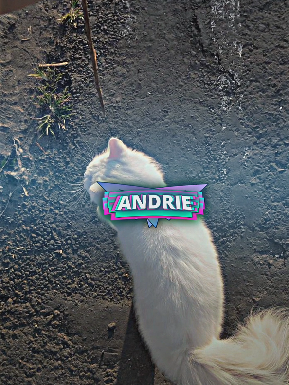 good morning idol 🥰 sana ma repost  #fypシ #fypage #zxycba #presetalightmotion #fypシ゚viral 