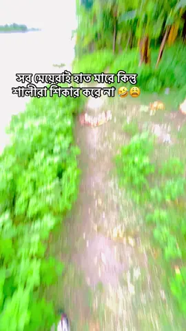 সব মেয়েরাই হাত মারে কিন্তু শালীরা শিকার করে না 🤣😩#foryou #vaiprofycaramba #vairalvideo #foryoupageofficiall #reasonforbooking @TikTok Bangladesh @Official TikTok Affiliate ID @TikTok 