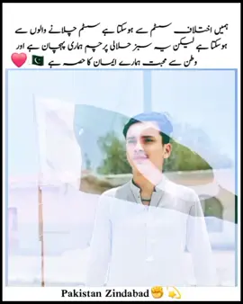 🇵🇰 Pakistan zindabab 🇵🇰# 14 August farman_bhayo tiktokviral  100k views 🇵🇰🇵🇰