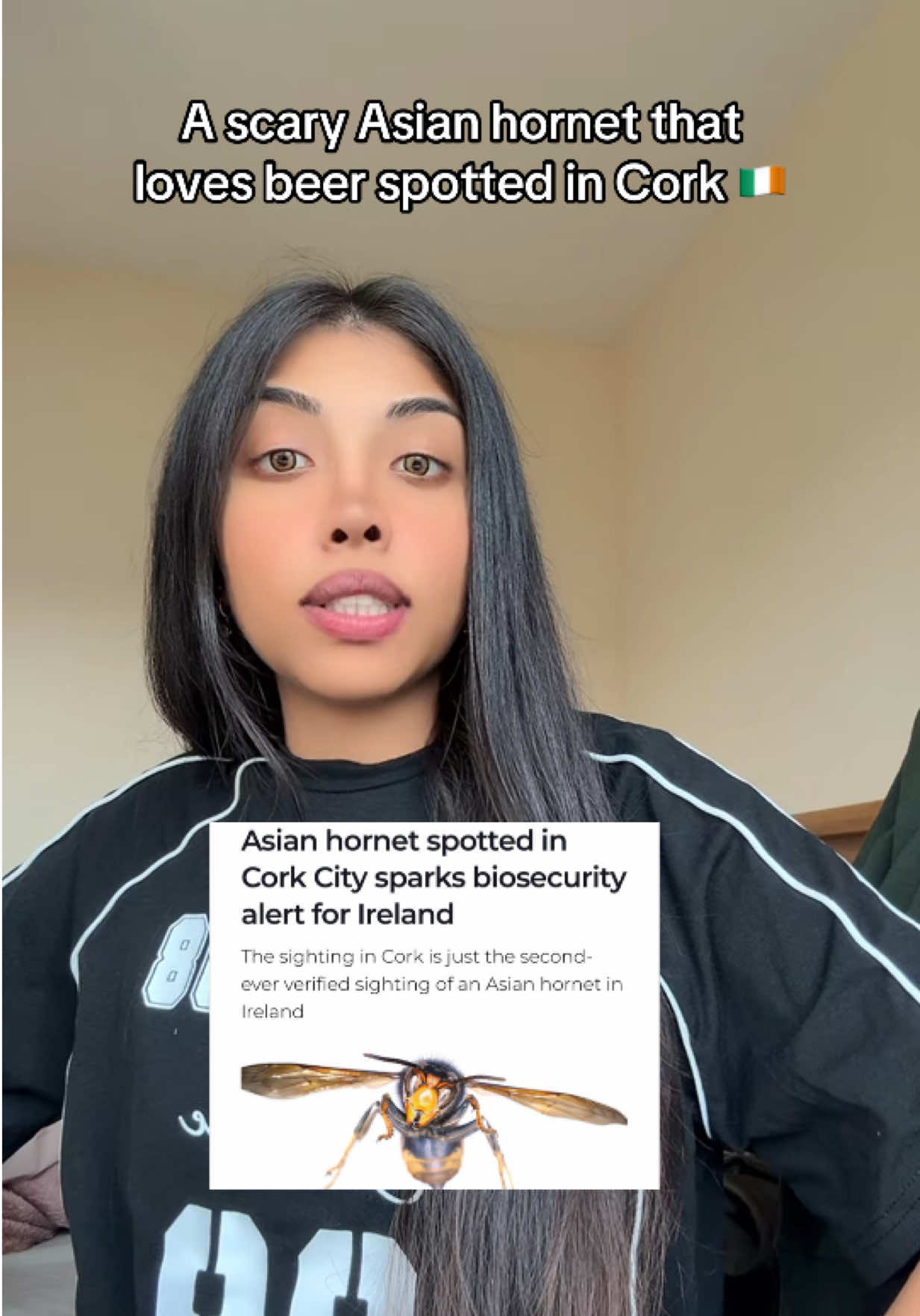 This hornet doesn’t represent the rest of us asians in Ireland 😂 #fyp#ireland#ireland🇮🇪#irelandnews#irishhumour#irelandwildlife#irelandissues#countycork#corkireland#irishanimals#xyzabc 