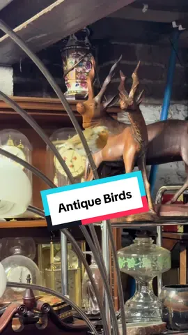 This antique shop we went to was filled with robins! 🐦  #antiques #bird #History #vintage #historytok 