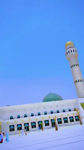 #tivaouane_ville_saint #sopenabyfrance #malikia_tv #yonoutivaouane                  #gamou2k25 🕌