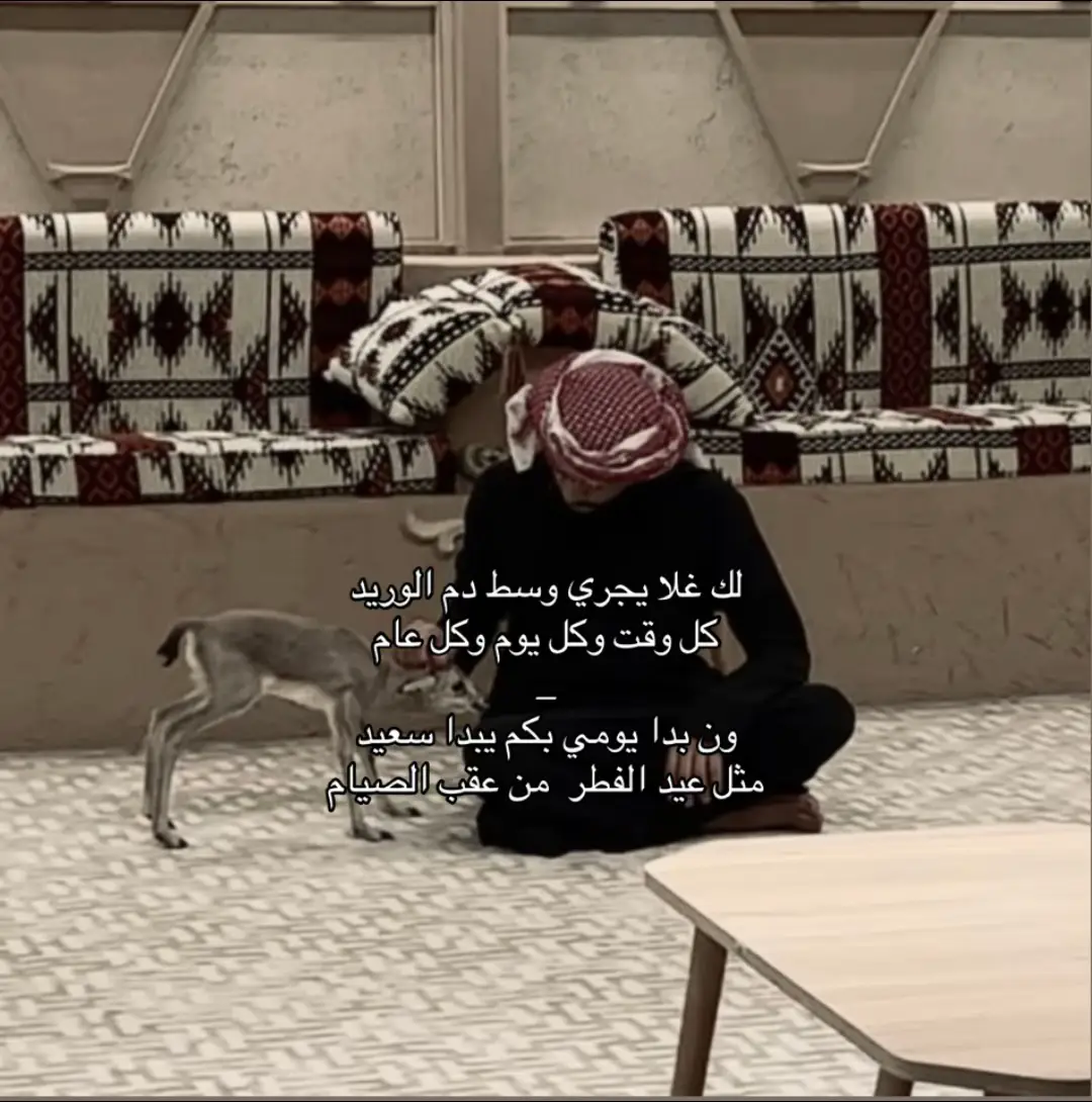 #اكسبلور #اكسبلور #اكسبلور #fypシ゚ #t 