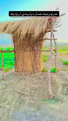 #تصويري_احترافي_الاجواء👌🏻🕊😴  #اكسبلورexplore #تابعوني  