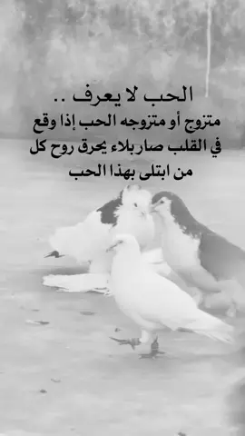 #عبارات_جميلة_وقويه😉🖤 #تصميم_فيديوهات🎶🎤🎬 #اللهم_صلي_على_نبينا_محمد 