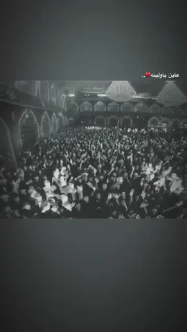 عاين ياولينه💔.. #عبدالحسين_الزيرجاوي #سيد_فاقد #سيد_سلام_الحسيني #محمد_باقر_الخاقاني #باسم_الكربلائي 