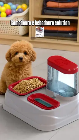comedouro e bebedouro solution ⛲ #pet #paisdepet #creatorsearchinsights #cachorro #gato 