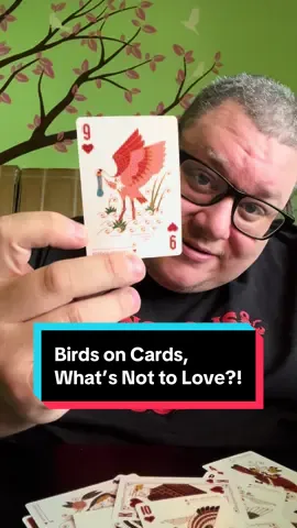 Specifically birds of North America #birds #birdsofnorthamerica 