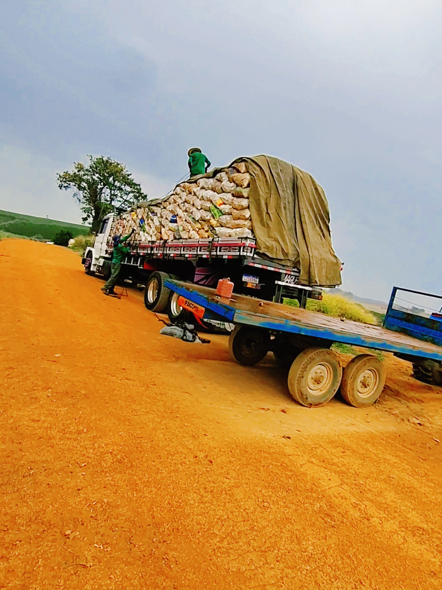 Fui feita pro caminhao 🥰 Ao som dele @O chofer  #scania113 #caminhoneira #caminhao #galeradabatata🥔 #fyyyyyyyyyyyyyyyy 