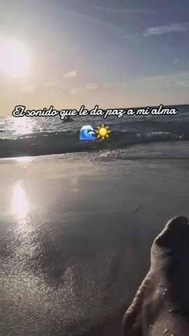 🌊☀️ #sonidosrelajantes 
