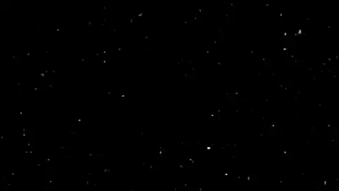 Surah At-Tur 52:17-19 | Mahdi Ash-Shishani #قران_كريم #quran_alkarim #اقران #quran #mahdiashshishani 