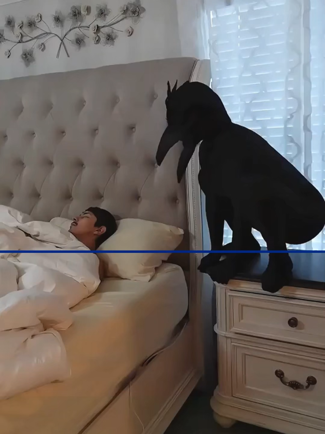 #scaring #scarepranks #fyp #trending #viral #scareprank