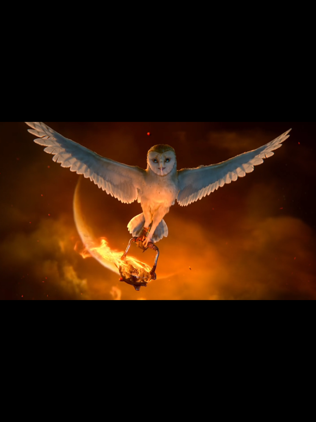 #LIVEIncentiveProgram #MyLIVEJourney #PaidPartnership #LIVEMonetization #eluniversogaming 