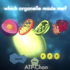 IM GONNA DELETE THIS SOON I GOT BORED AND MADE THIS 😭😭 #biology #apbio #edit #Science #studytok 