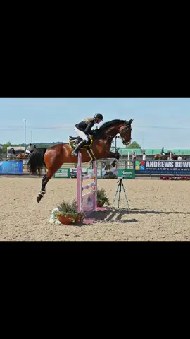 Often wonder what we could maybe achieve if I hadn’t lost my mojo…but nonetheless it has been a fun journey with my best boy. Might still get to find what our limit is yet if I get my finger out 😬 #horsesoftiktok #showjumper #equestrian #foryou #fyp  