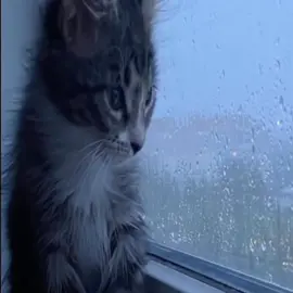 Hey Leute, wie gehts euch Leute?  Die nächsten Tage kommt vielleicht noch ein Video. Tschüss Leute #nichetok #corecore #deutschecore #core 