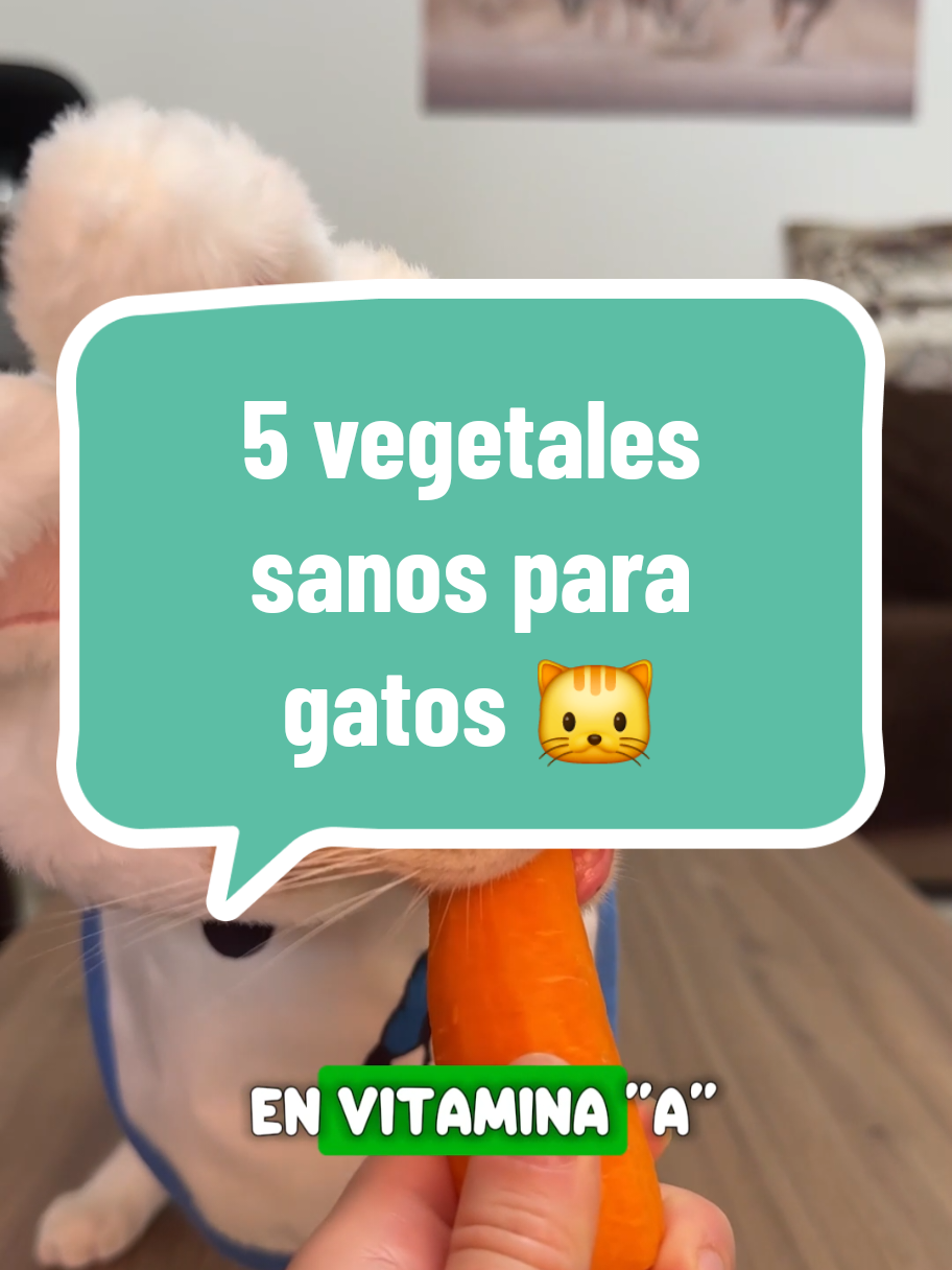 5 vegetales que mejoran la salud de tus gatitos y no lo sabías 🐱 #mascotas #mascotastiktok #gatos #gatostiktok #michi 