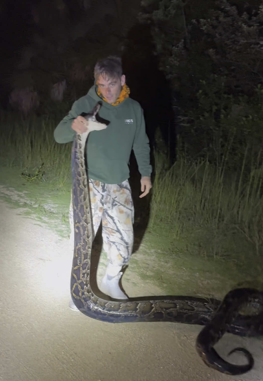 POV: You're solo catching a 16 foot 104 lbs Burmese Python with one hand while filming and holding a light with the other... 