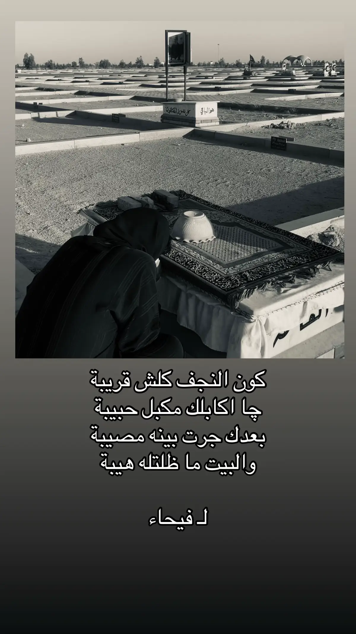 #شعر #ابي #فيحاء 