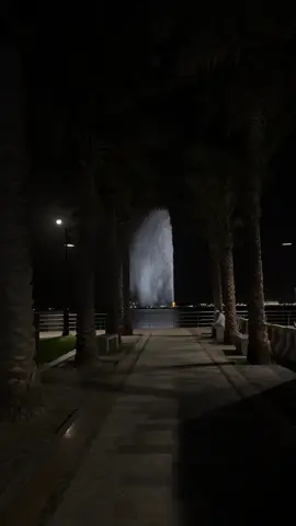 نافوره الملك فهد ❣️