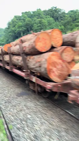 #libreville_gabon🇬🇦 #libreville_gabon🇬🇦 #franceville🇬🇦 