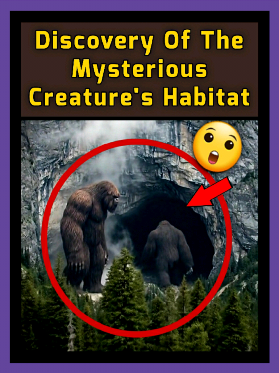 🔴 Discovery of the mysterious creature's habitat😲 .. Strange Creature Spotted During Helicopter Flyover of a Hidden Island – 😯 Real Footage During a routine helicopter patrol off the Pacific coast, something extraordinary was caught on film — a mysterious figure lurking deep within an untouched island. The footage reveals a tall, shadowy shape emerging briefly in a forest clearing before slipping silently back into the dense trees, as if aware it was being watched. 📍 Location: Unknown Pacific Island 🚁 Keywords: strange creature sighting, UFO 👀 encounter, mysterious island, helicopter footage, cryptid caught on camera, real paranormal video, unsolved mystery Could this be an undiscovered species? A legendary cryptid? Or something far more mysterious? Watch closely — in the blink of an eye, it disappears. #us #usa #america #fyp #viral 
