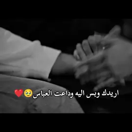 حَحبيب كلبي حسيـטּ🤍🤍. #امـــريـته_الـ_حســـوني #؏_حبنه_الف_أيه_فلق🧿 #حبيبي_ومن_حقي_اتباها_بيه #حـسيـن #ام_لـًيـان 