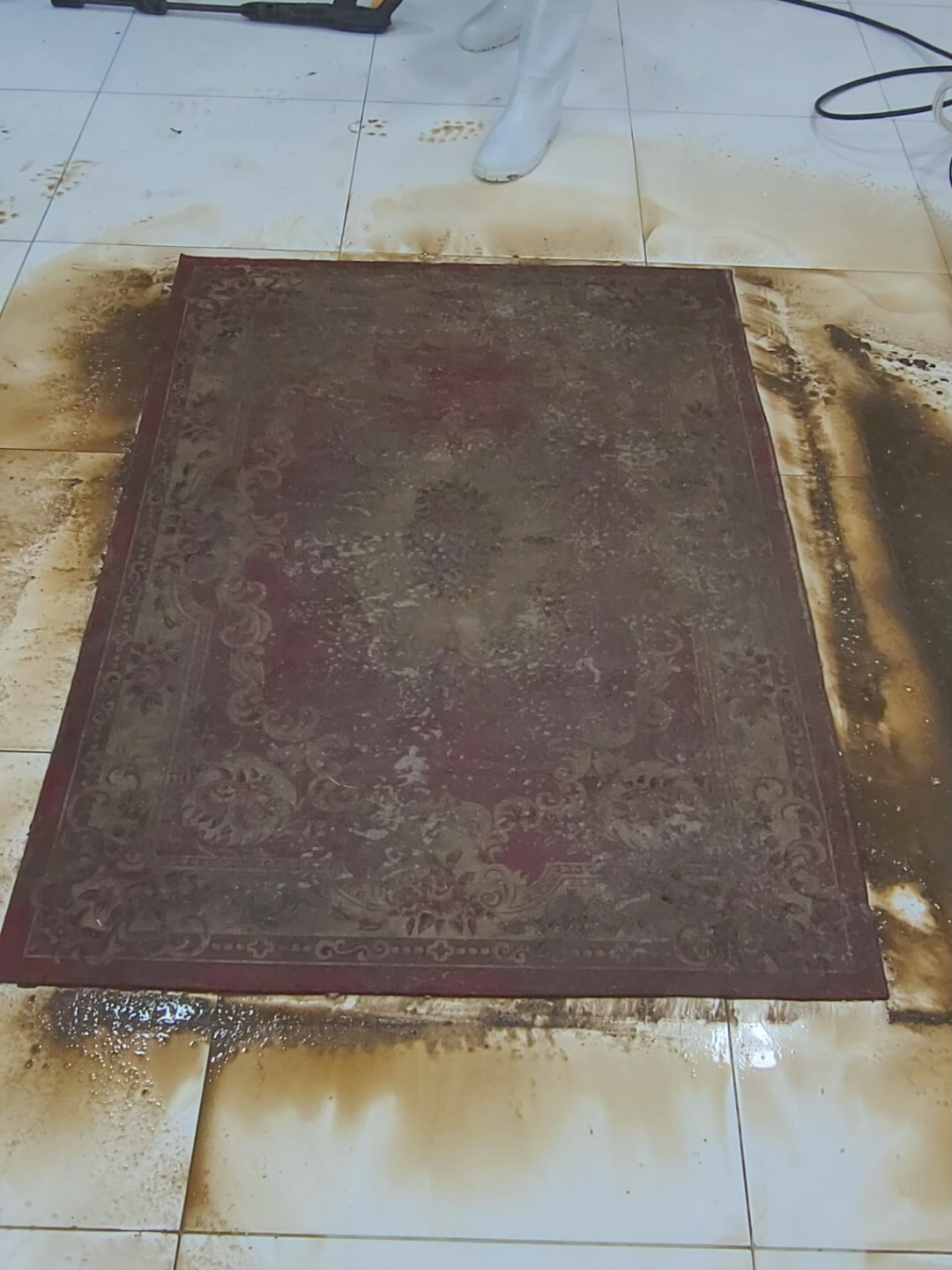 Old Carpet Shines Again After Decades - ASMR CLEANING SATISFYING CARPET #asmr #asmrcleaning #SatisfyingClean #rugcleaning #asmrsounds #cleaning