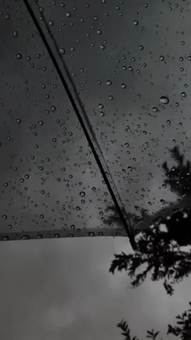 Cose Della vita - Eros Ramazzotti ‧ 1993 #cosedellavita  #erosramazzotti  #internacionais  #anos7080e90  #music 