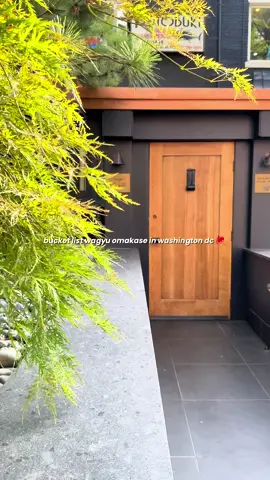 Pls count how many times I said wagyu in this video 🥩 