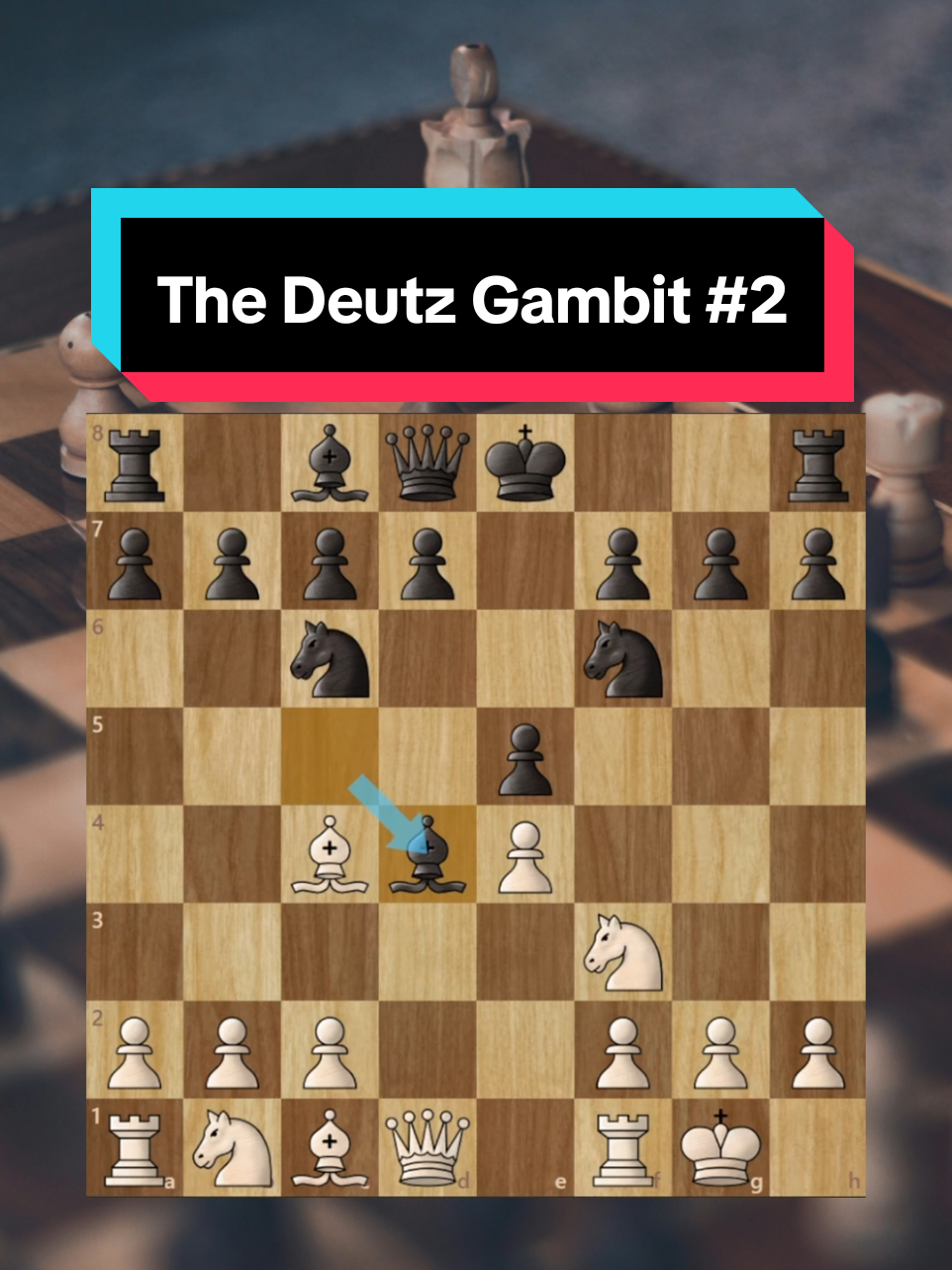 Part 2 of the aggressive Deutz Gambit! #chess #chesstok #chessopening #chessopeningtraps 